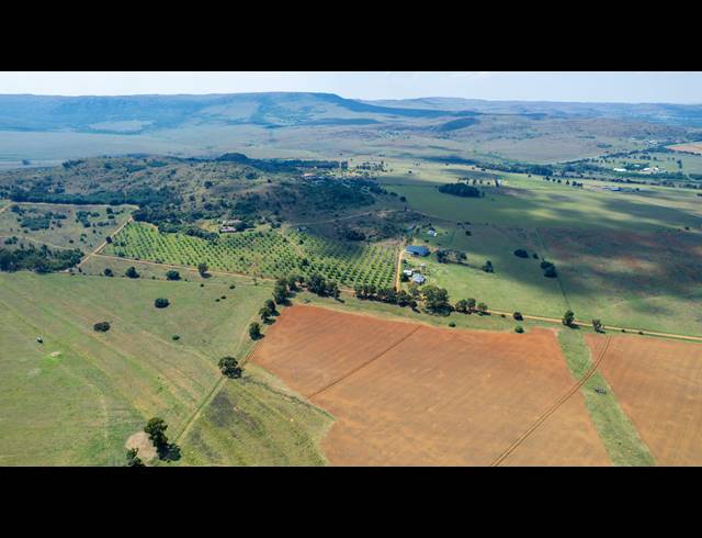 FARM FOR SALE IN HEIDELBERG AH